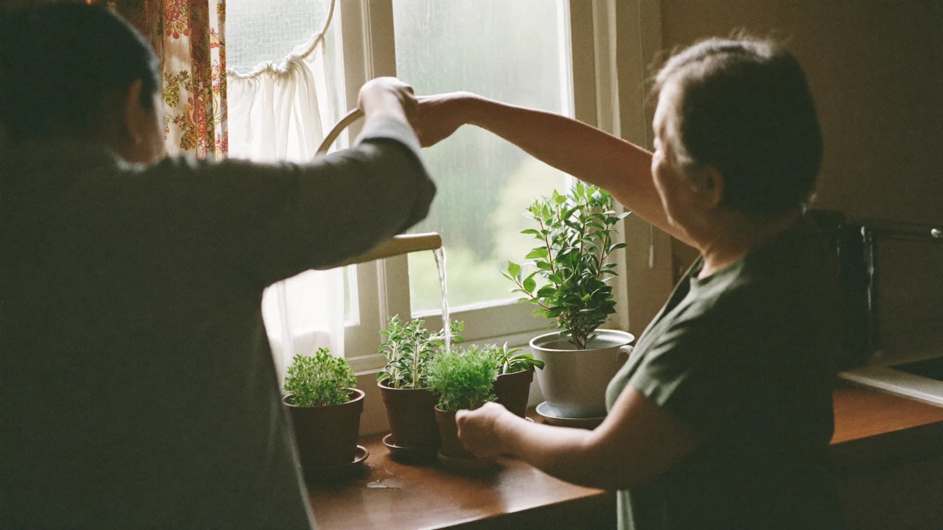A caregiver helps an older woman water plants on a sunlit kitchen windowsill